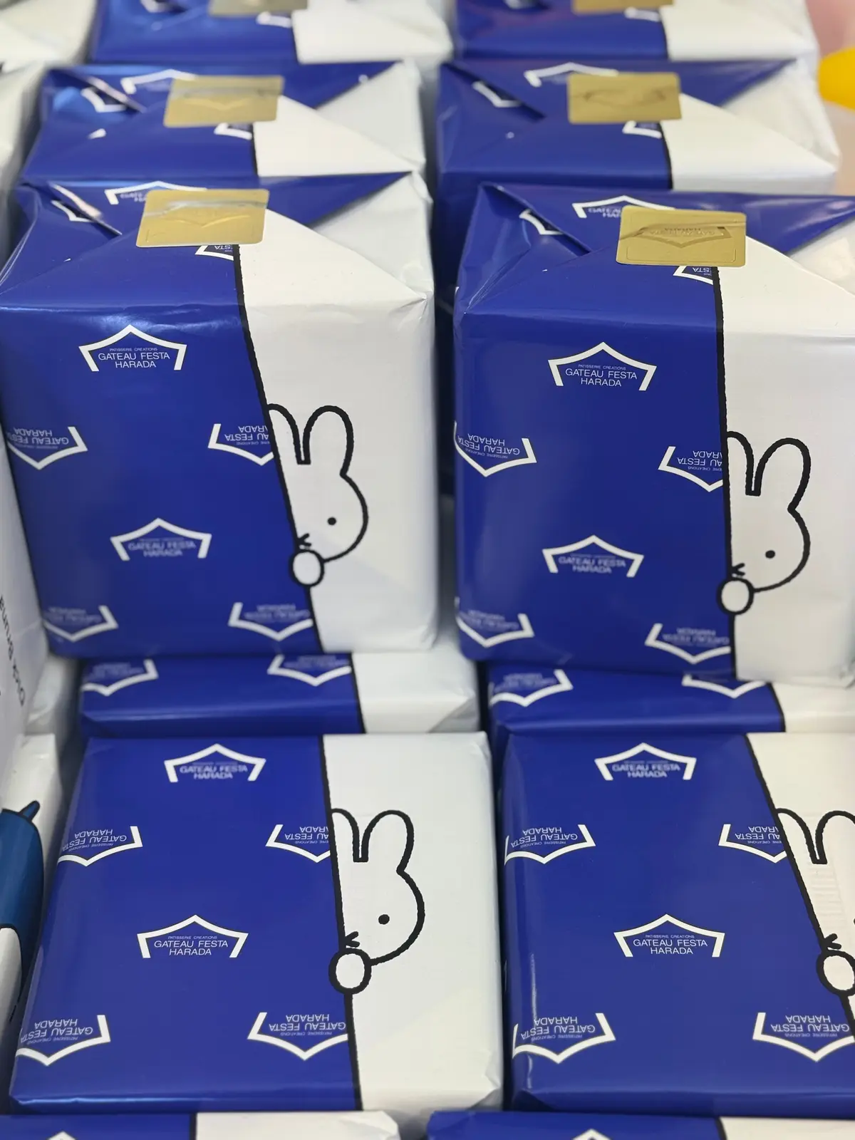 【ハウステンボス】新エリア「ミッフィー・の画像_93