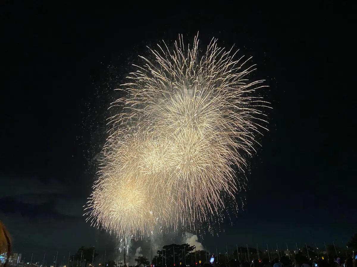 東京花火大会2023】「足立の花火」のおすすめスポット・楽しみ方・最新