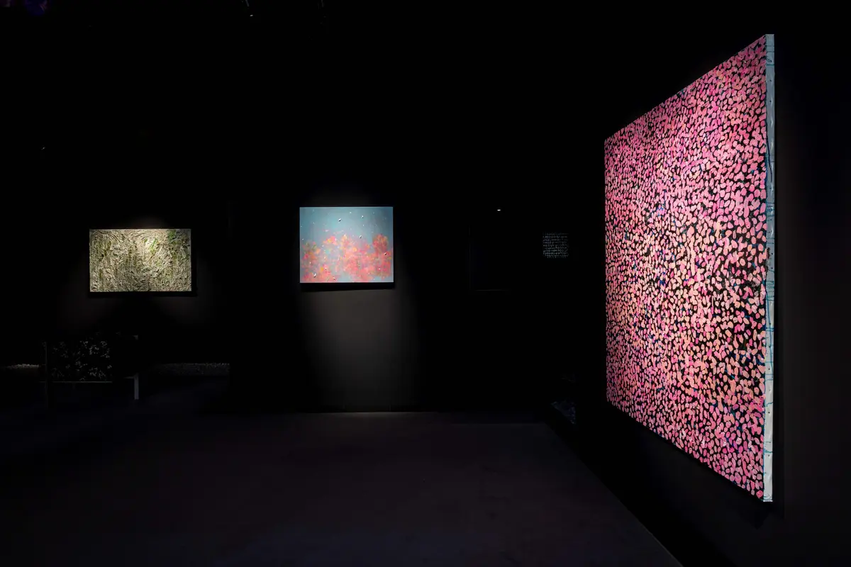 中北紘子作品展「Apoptosis （アポトーシス）」概要