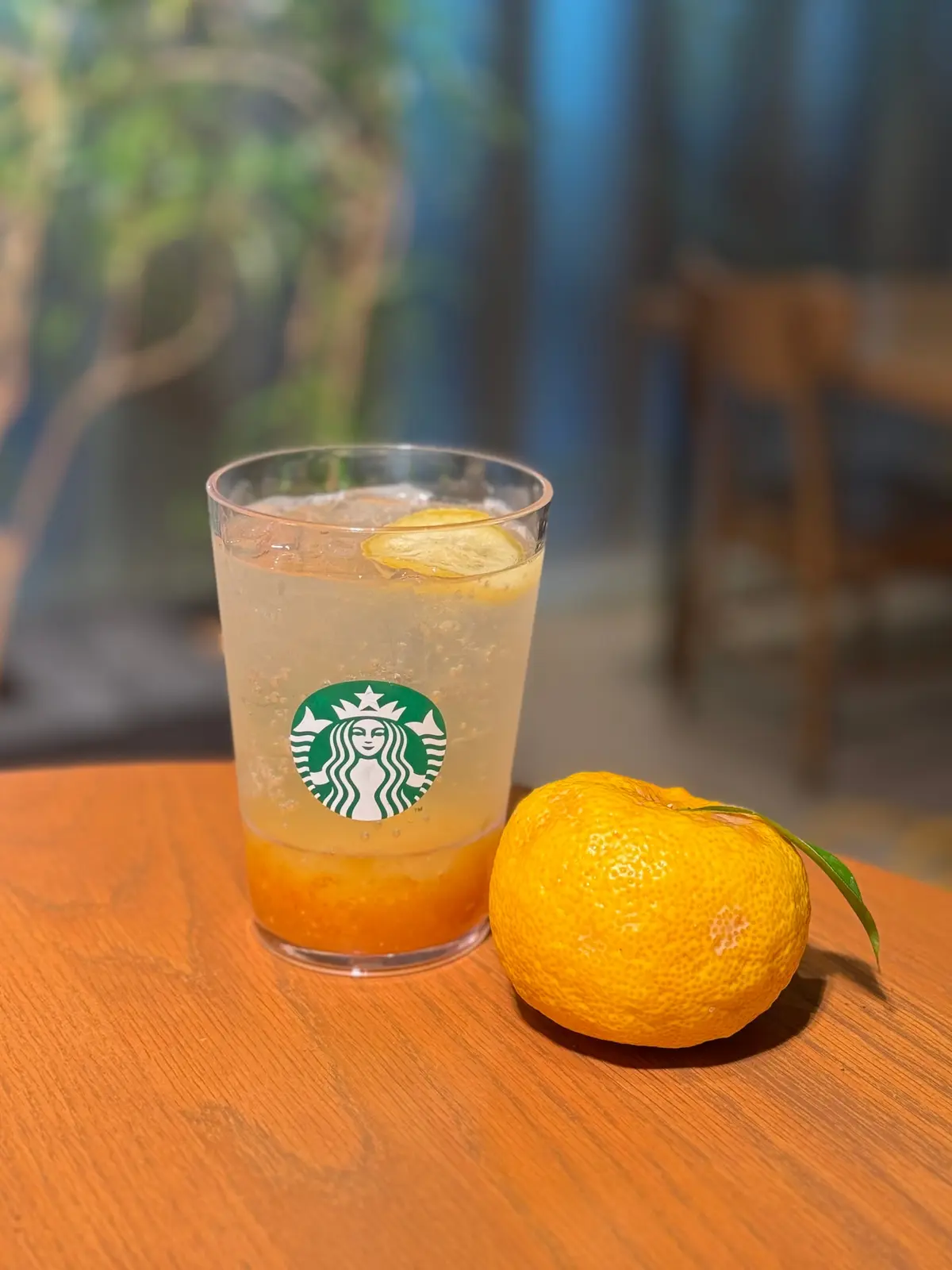 スタバ 「チラックス ソーダ ゆずシトラス」