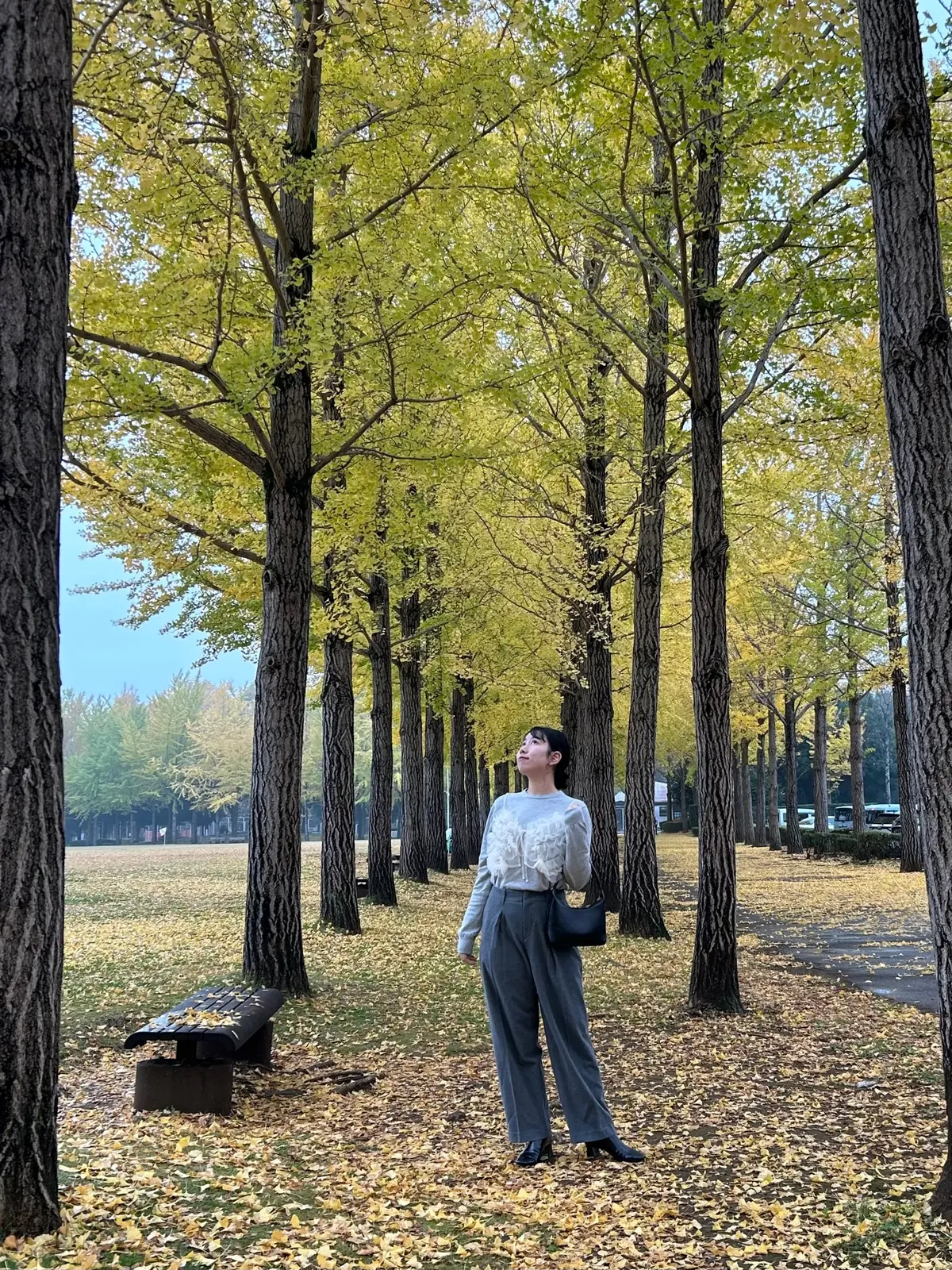 【茨城県/つくば市】暖冬だからこそ見頃のの画像_1