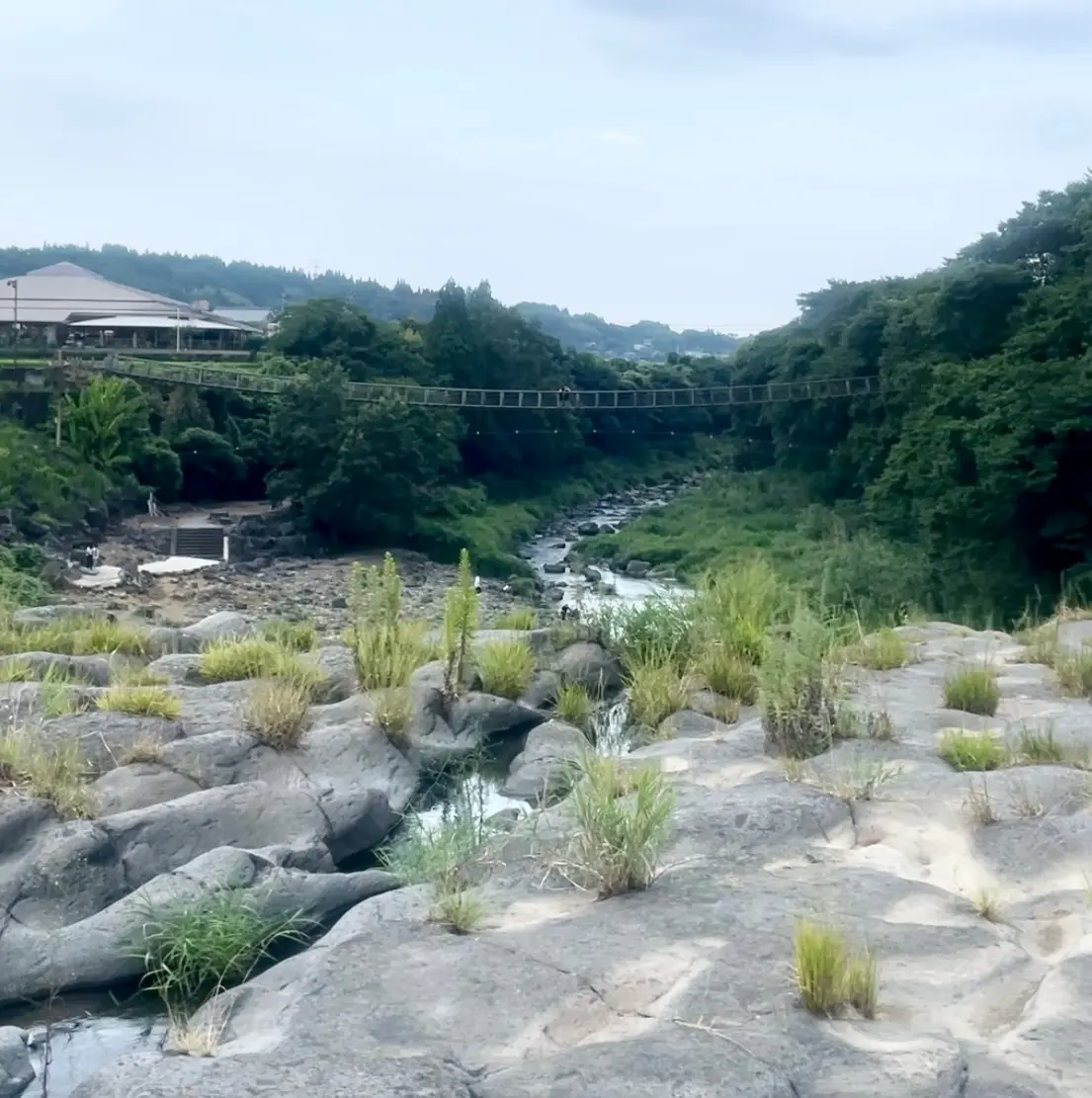 【大分】絶景が楽しめる！グルメも美味しいの画像_3