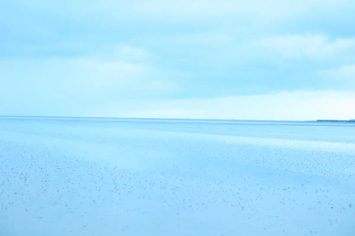ラムサール条約　肥前鹿島干潟