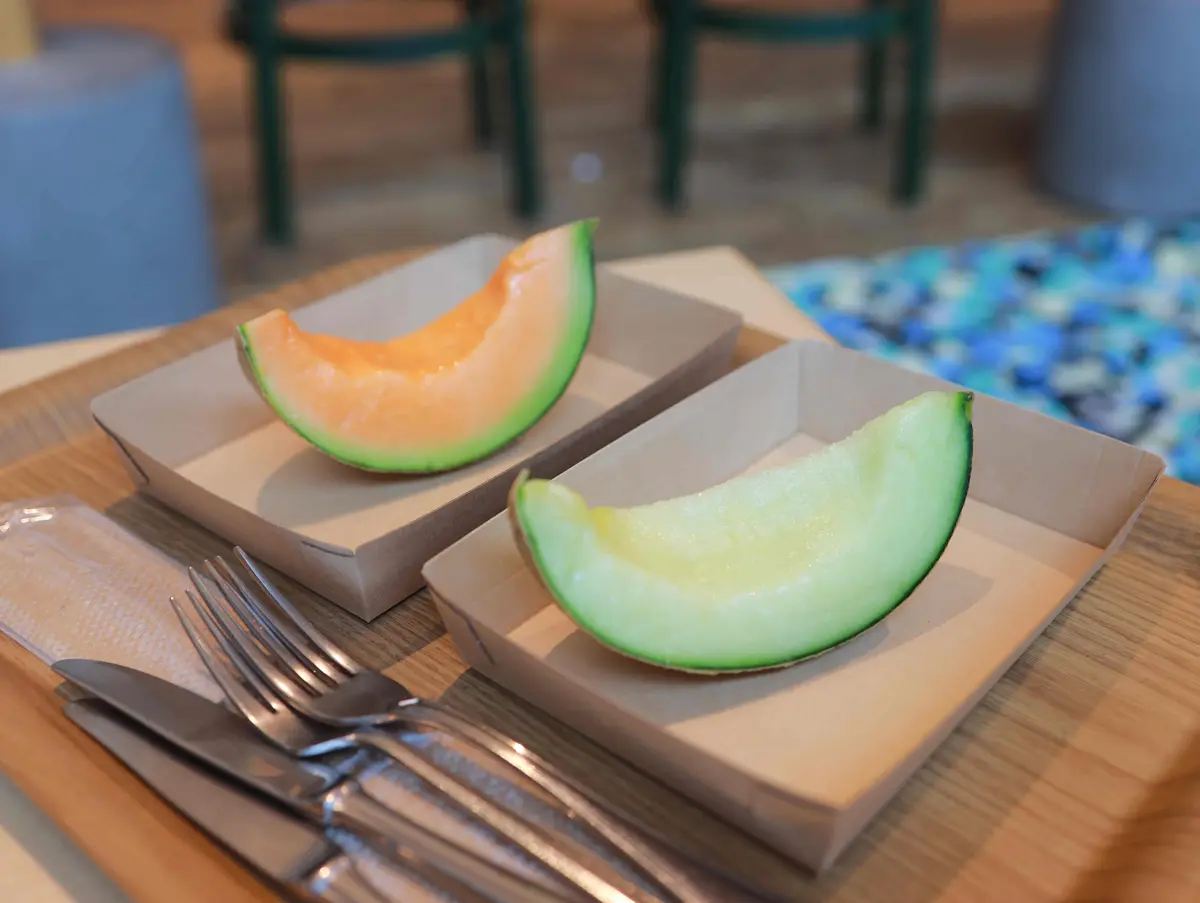 【北海道｜星野リゾートトマム】2種類のメの画像_11