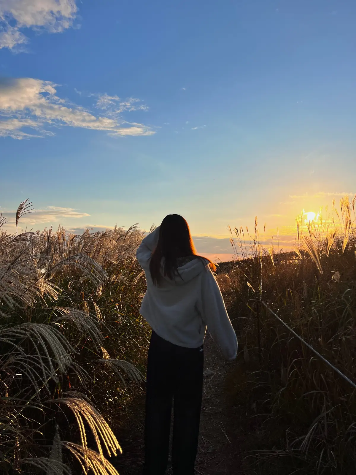 生石高原の夕方の写真