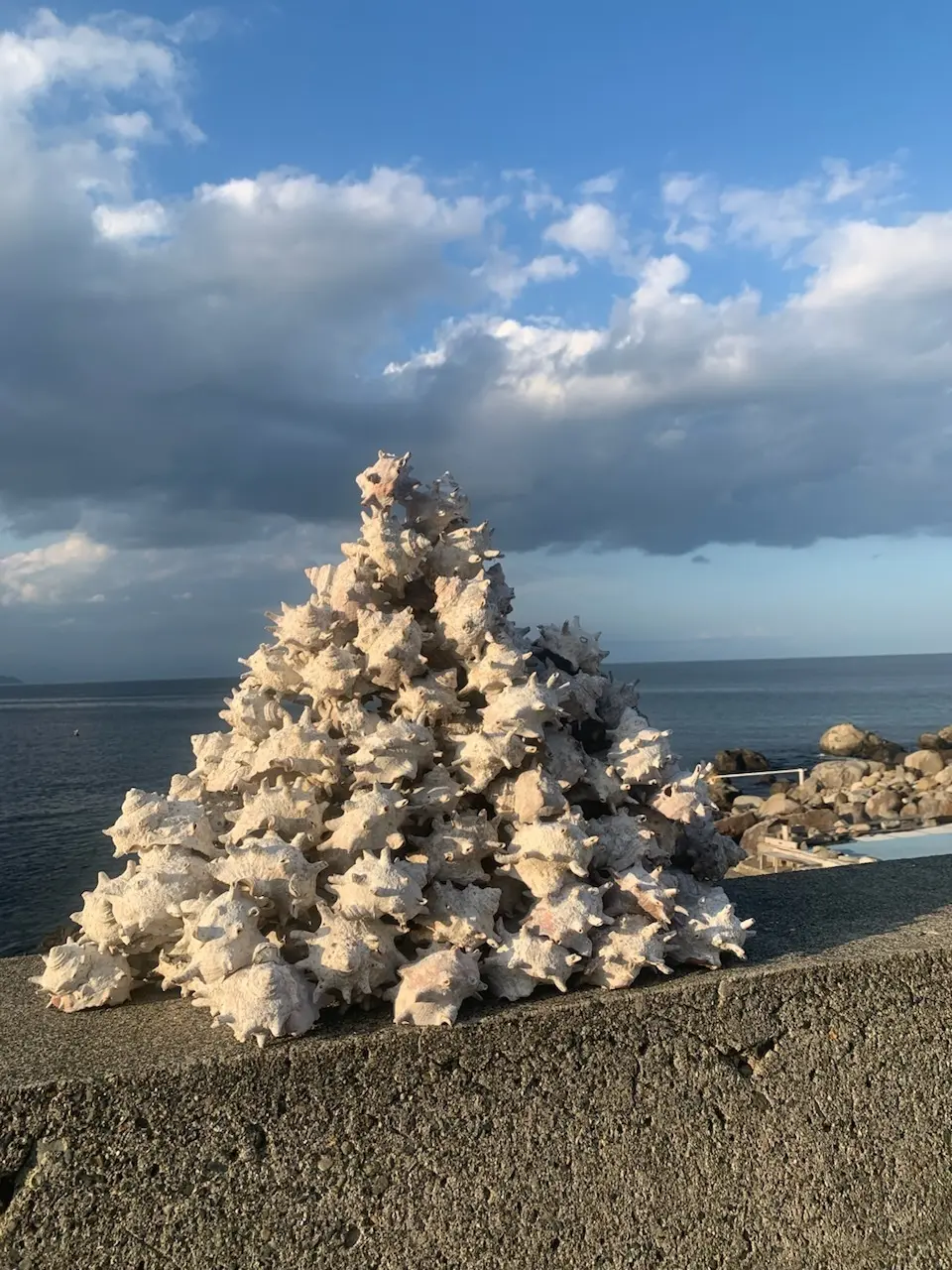 【静岡県　初島】船で30分！！島でのんびの画像_4