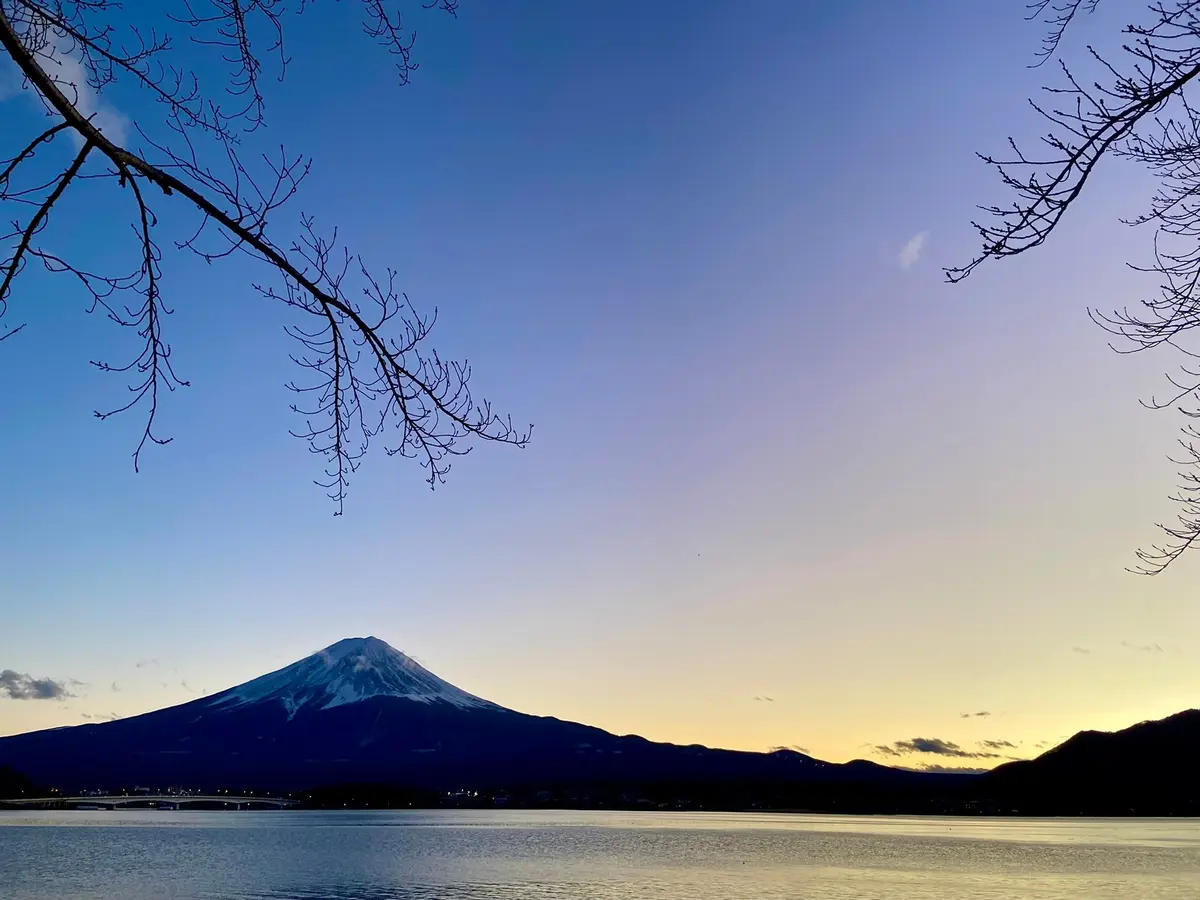 【静岡グルメ】至福のフルーツパフェ物語の画像_1