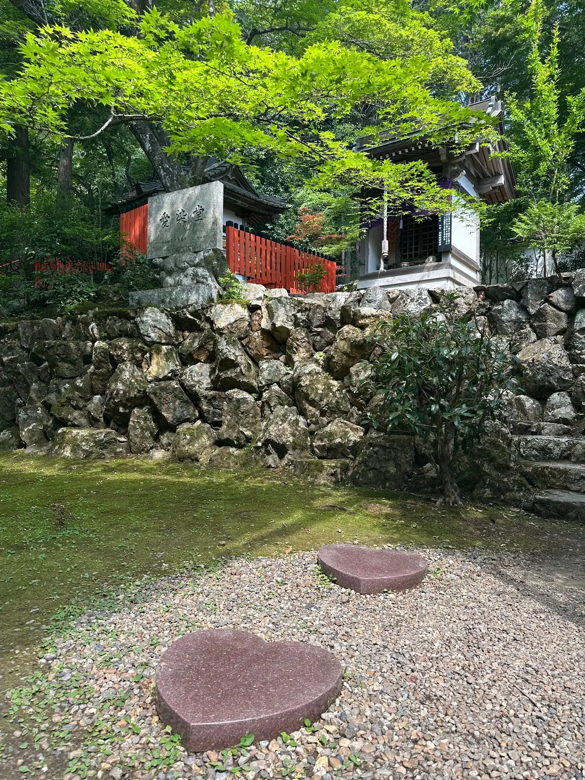 【京都のあじさいスポット】第3弾！ここがの画像_10