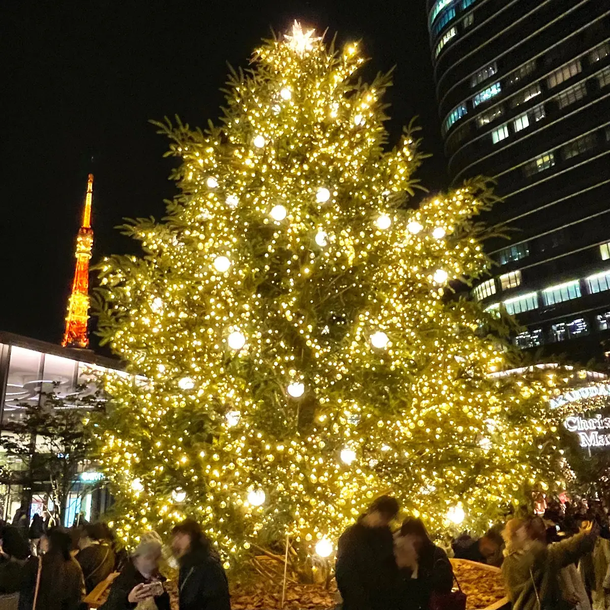 東京・麻布台ヒルズで開催中のクリスマスマーケット「Azabudai Hills Christmas 2024」