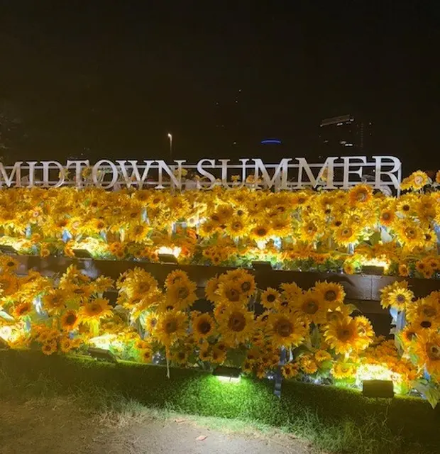 【六本木ミッドタウン】フォトジェニックなの画像_2