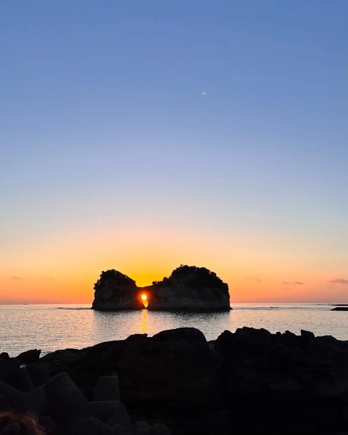 【和歌山｜白浜】グルメと絶景を楽しむ！日の画像_14