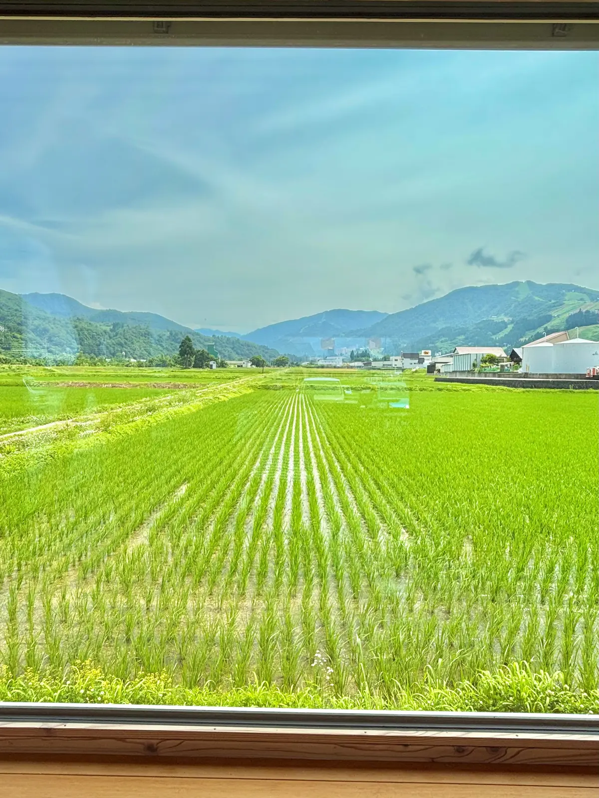 NHKのプロフェッショナル 仕事の流儀でも取り上げられた米農家「関農園」の世界一を6度受賞しギネス世界記録でもある幻の米でつくったおにぎり専門店「FARM FRONT」の「土鍋炊き塩むすび」と「海苔」