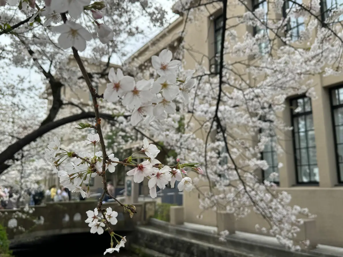 立誠ガーデンヒューリック 京都
