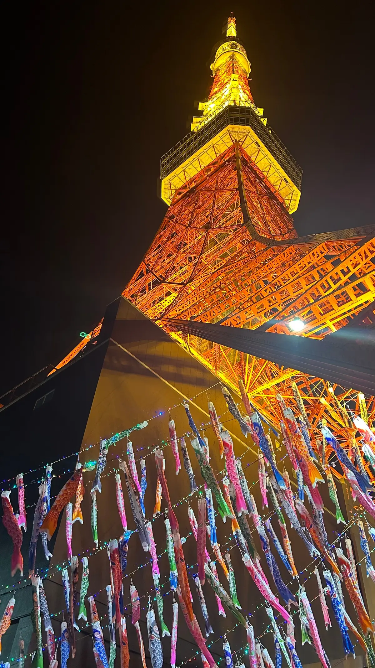 【期間限定・東京タワー】都会に333匹のの画像_1