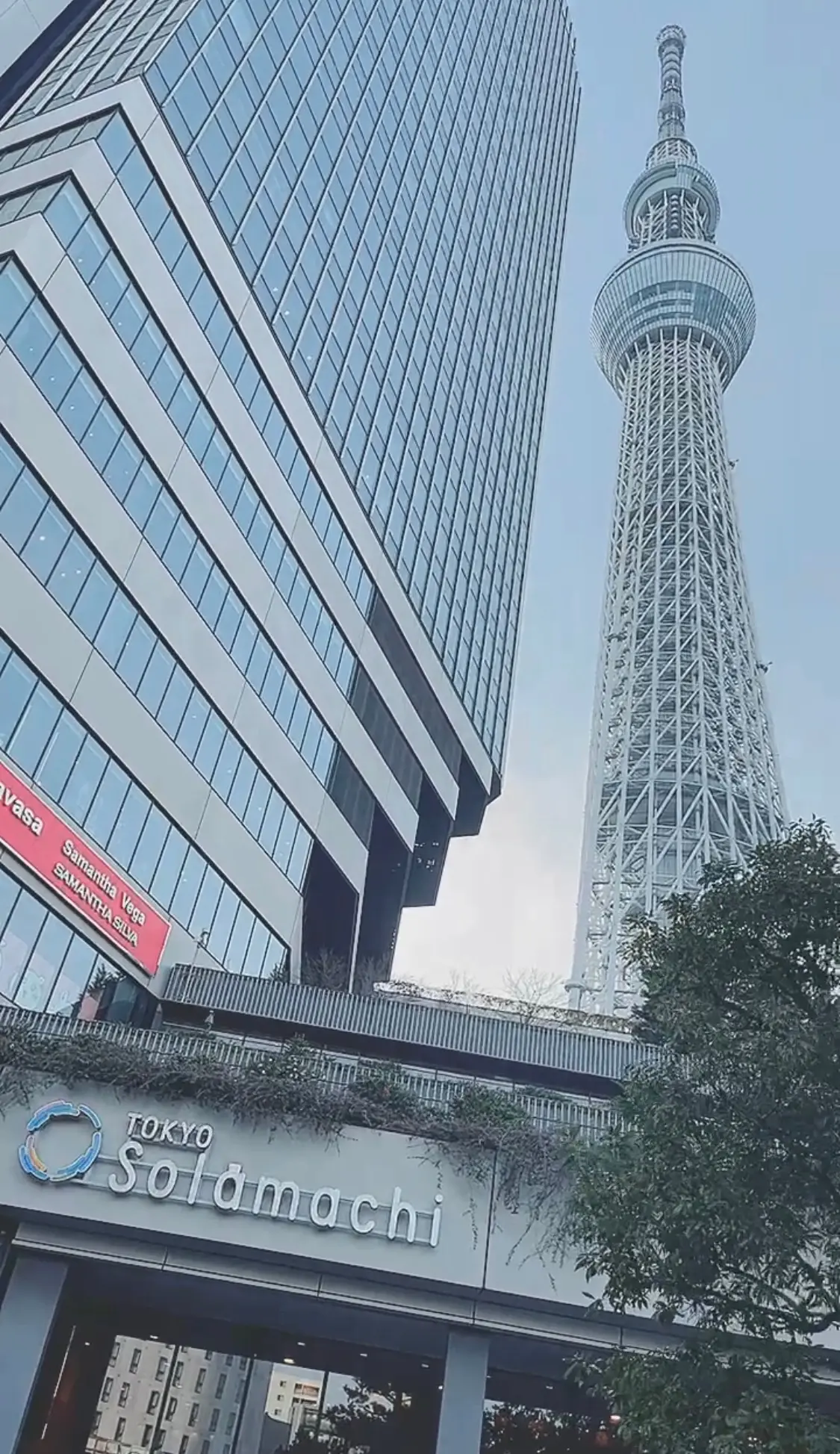 【東京|浅草】大満足の浅草食べ歩きグルメの画像_10