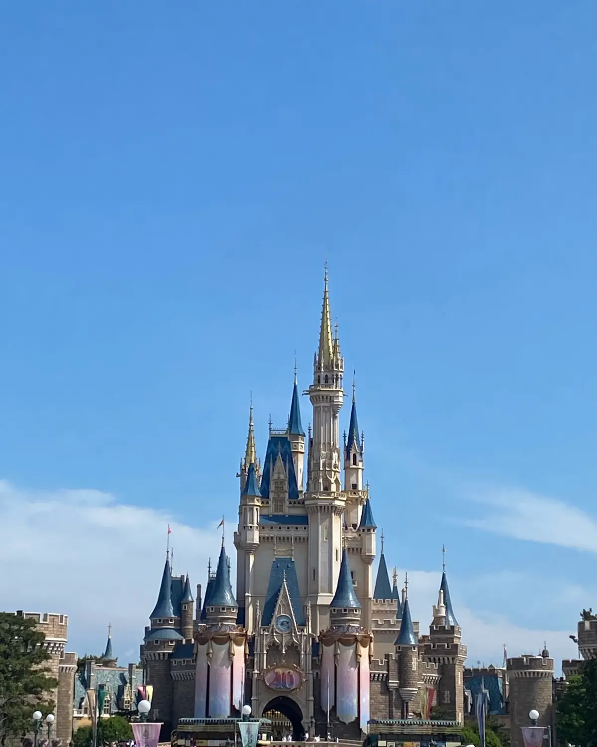 【ディズニー】40周年のディズニーに行っの画像_3