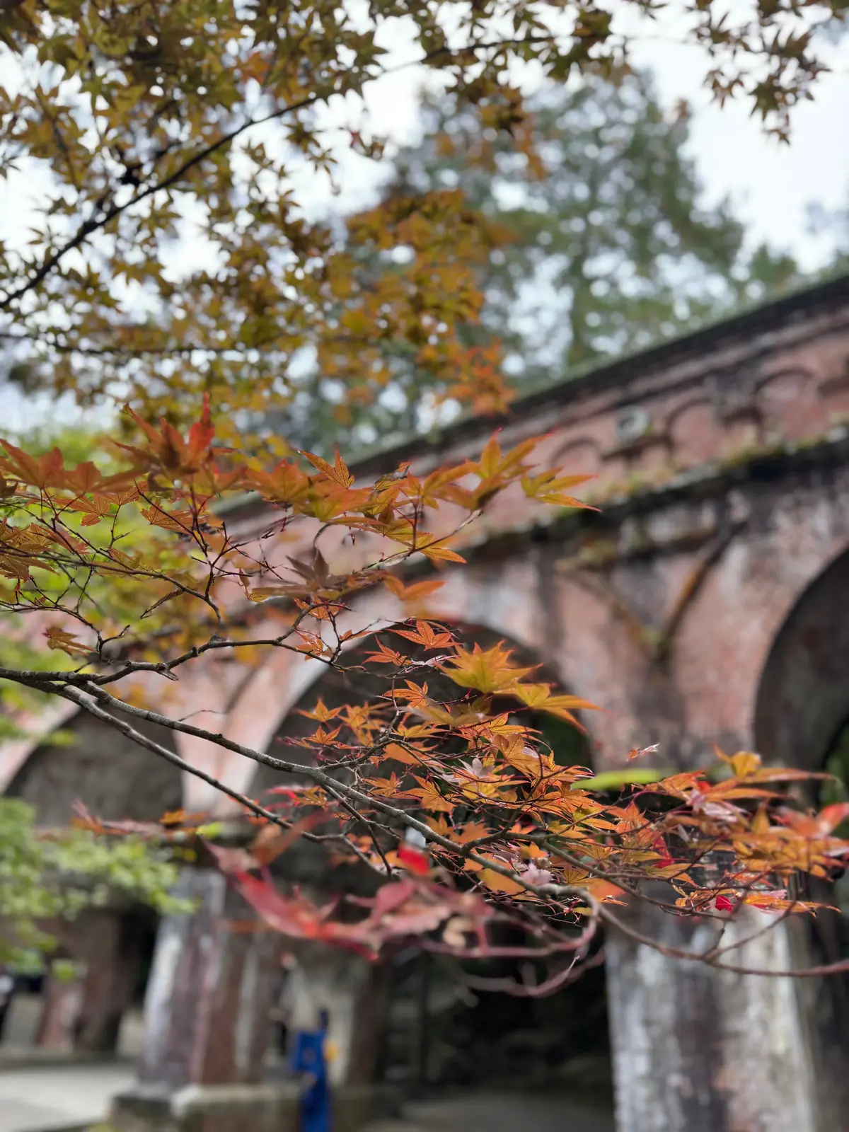 紅葉越しの水路閣　南禅寺