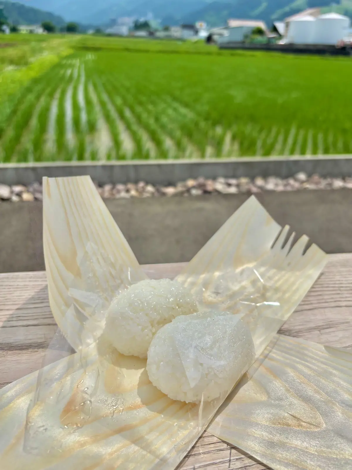 NHKのプロフェッショナル 仕事の流儀でも取り上げられた米農家「関農園」の世界一を6度受賞しギネス世界記録でもある幻の米でつくったおにぎり専門店「FARM FRONT」の「土鍋炊き塩むすび」と「海苔」