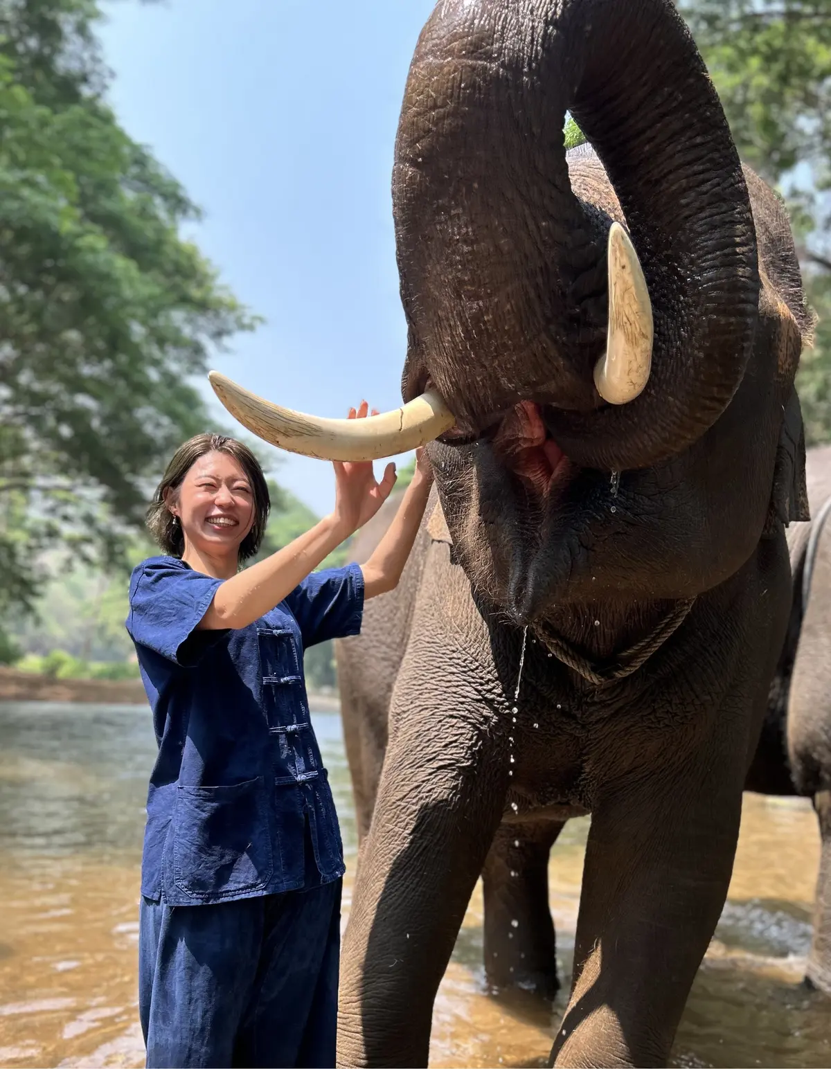 像使い免許取得