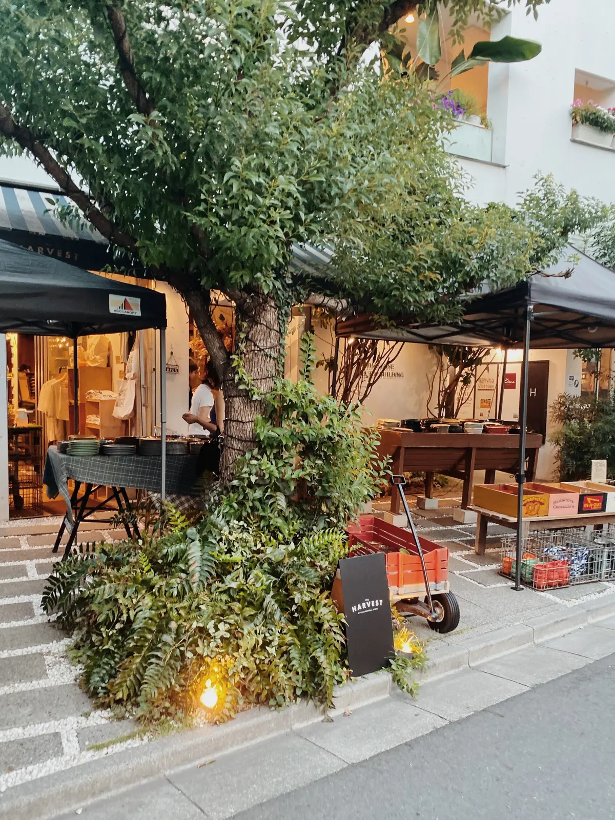 東京恵比寿にある食器とキッチンツールのセレクトショップTHE HARVEST ハーヴェスト