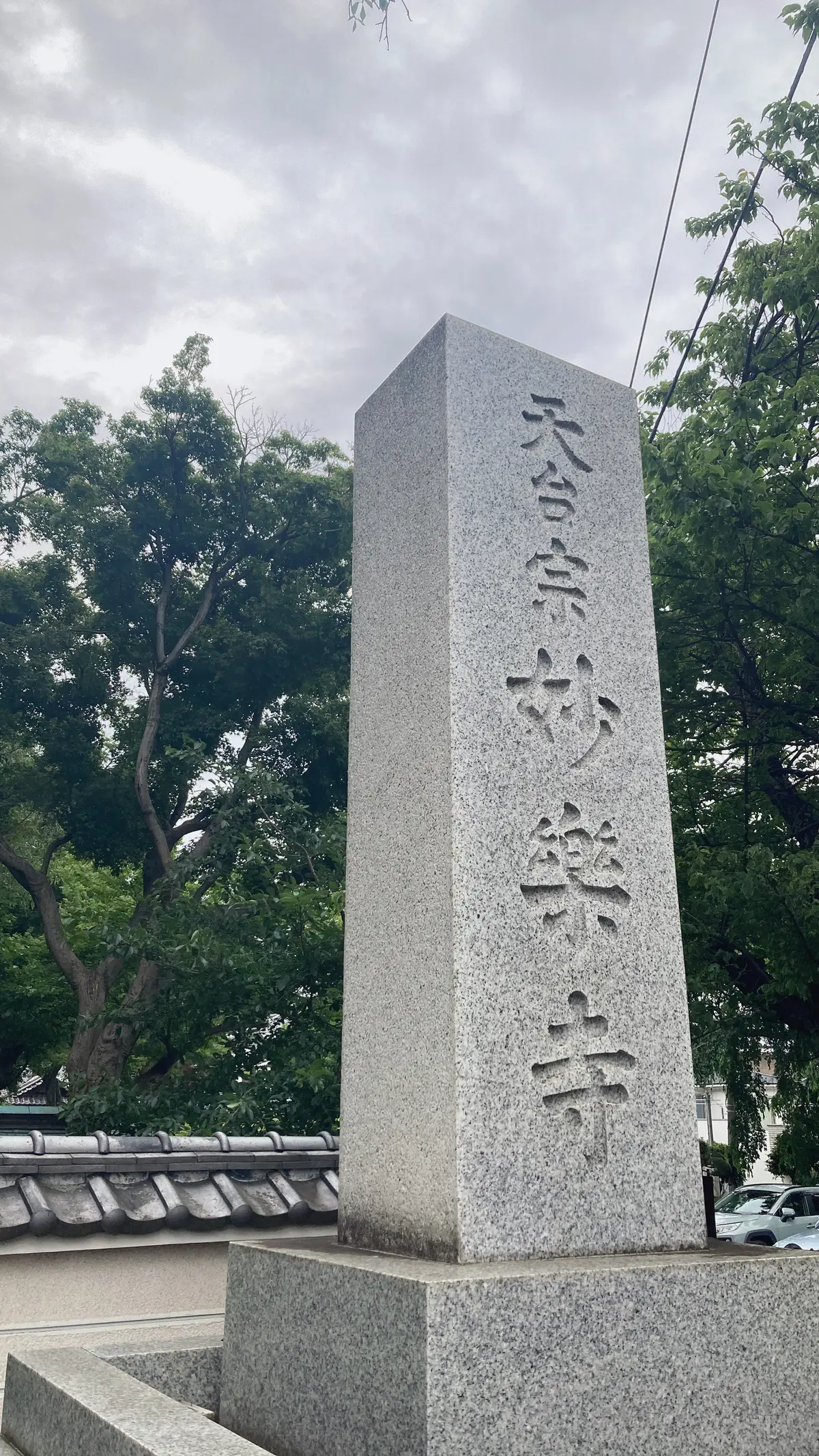 妙楽寺　紫陽花
