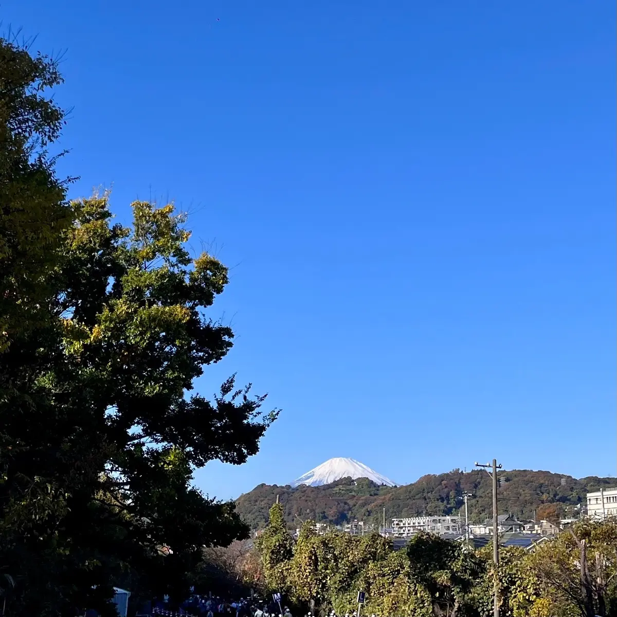 【神奈川】世界初”ごみを出さないマラソンの画像_4