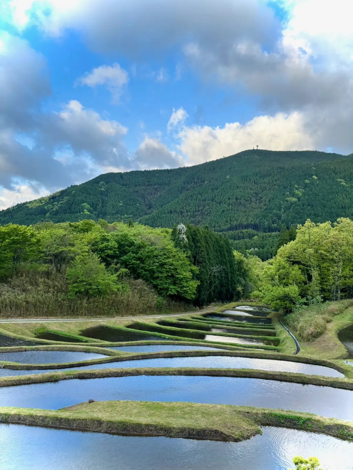 【大分・由布院】1泊2日で心も体もリセッの画像_3