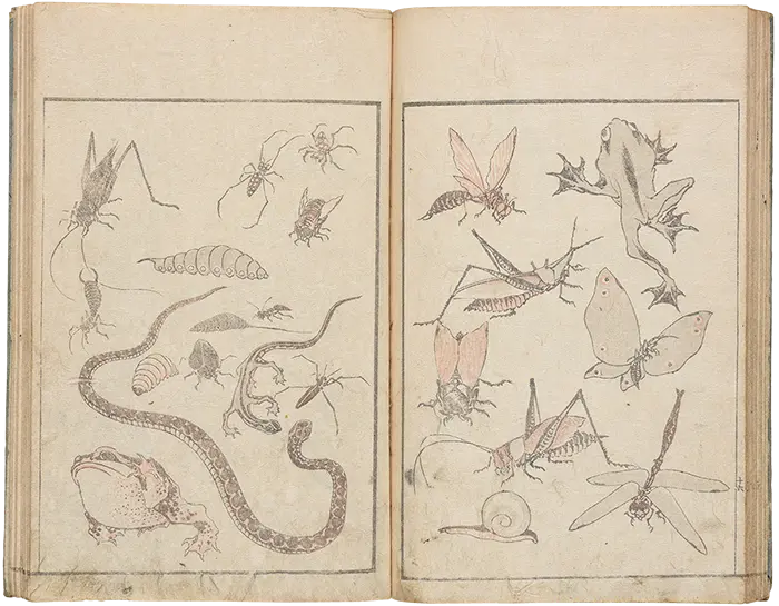 葛飾北斎・画『北斎漫画』（初編）島根県立美術館蔵（永田コレクション）・・・西洋画家に影響を与えた北斎の代表作。希少な初摺本