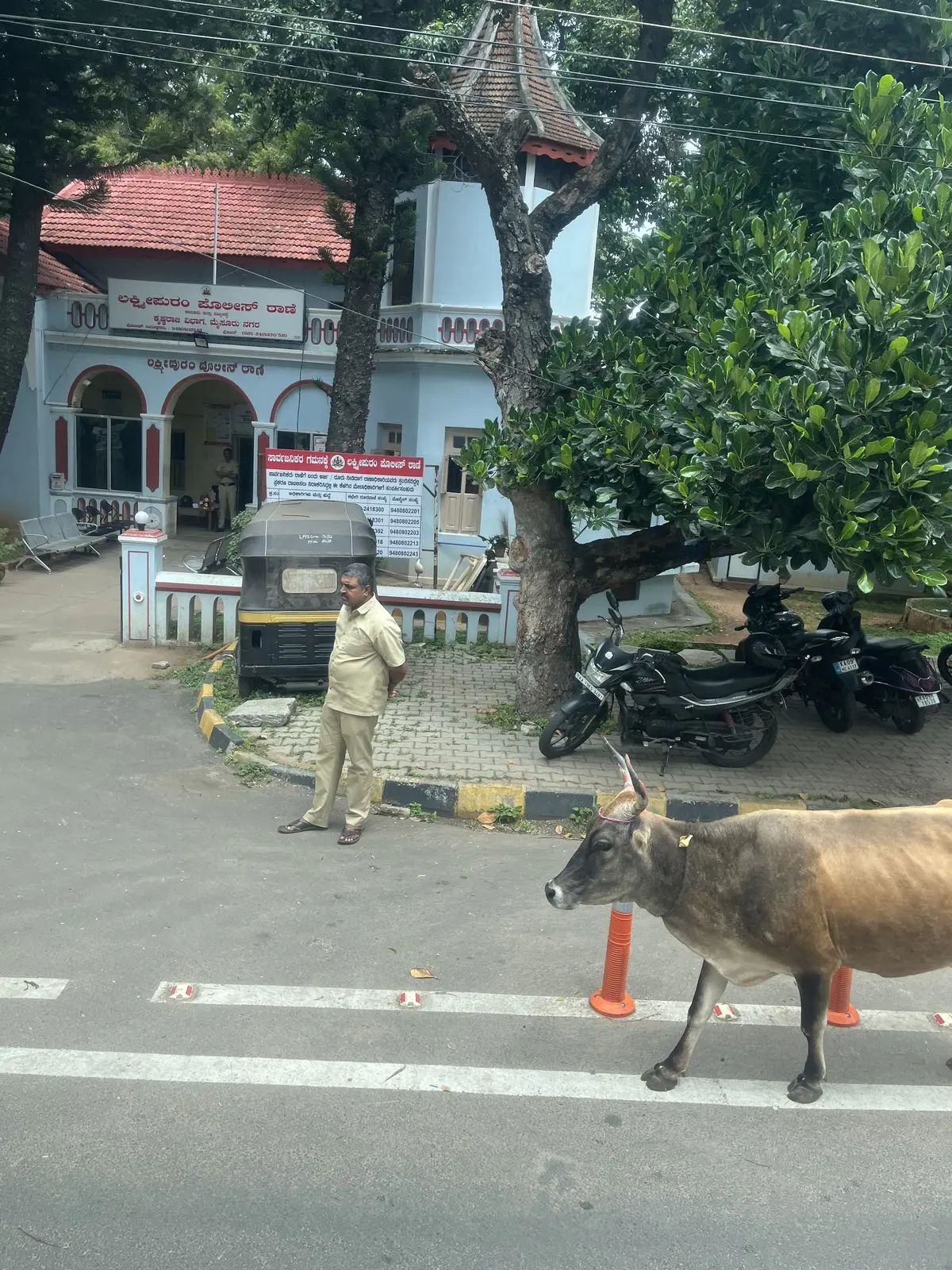 【インド旅🇮🇳】イメージが変わる？！南イの画像_4