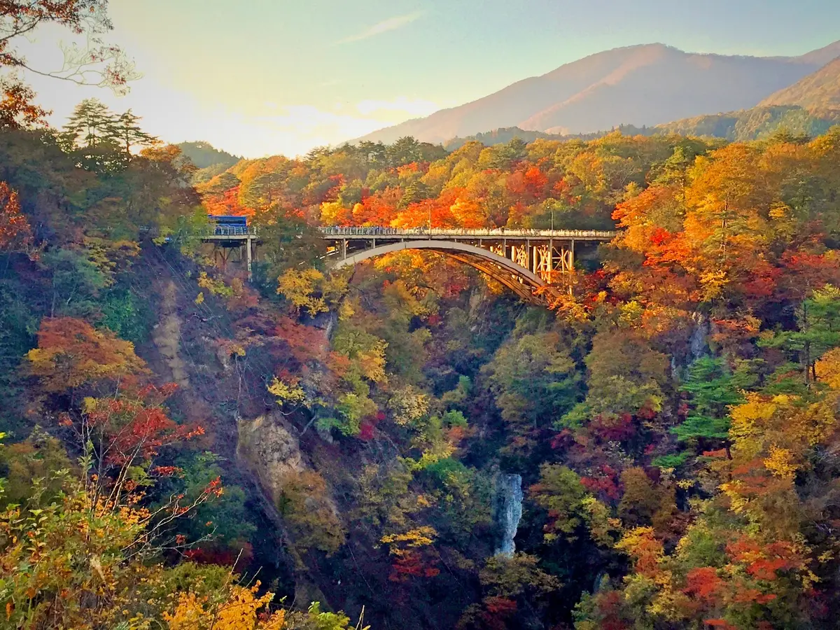 【宮城・仙台】カメラ女子おすすめの絶景紅の画像_11