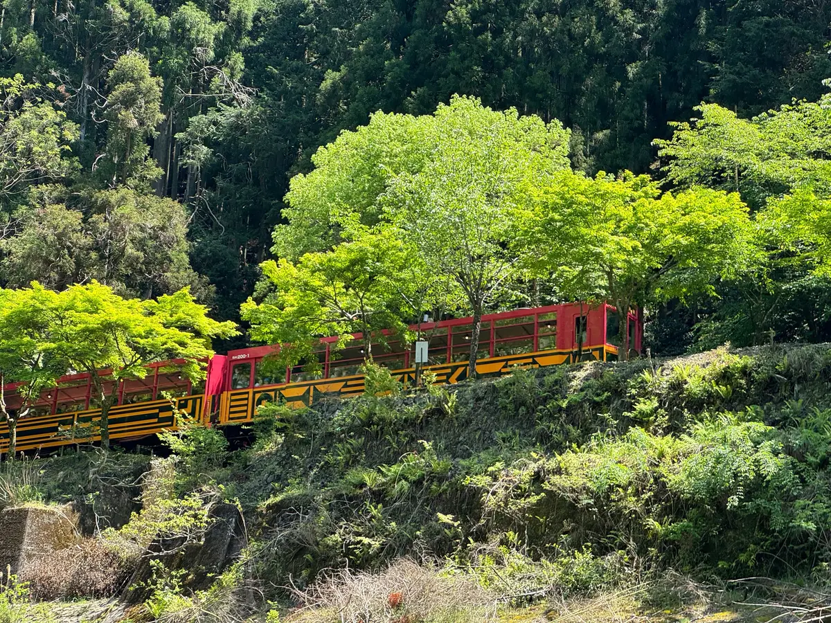 保津川からみたトロッコ