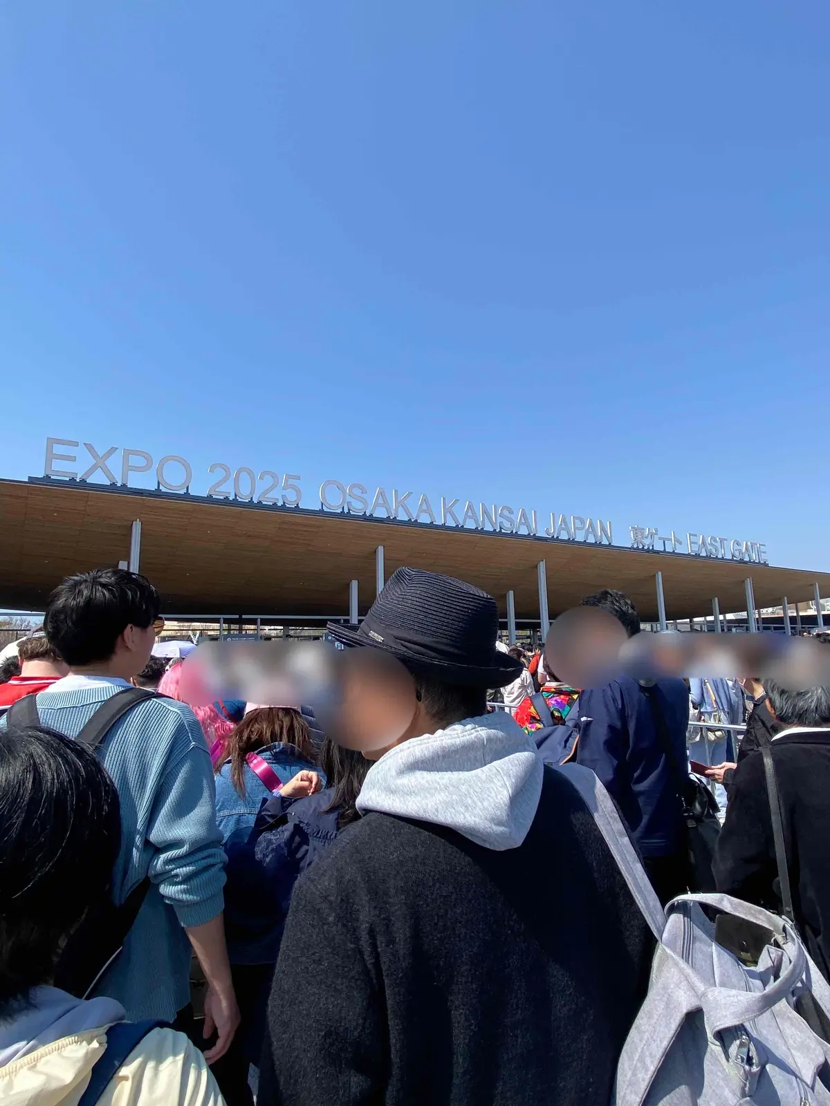 【大阪・関西万博2025】コアラが眠りユの画像_2