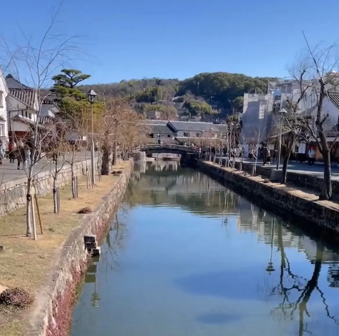 【岡山県】桜が綺麗！この春行ってみたい！の画像_4