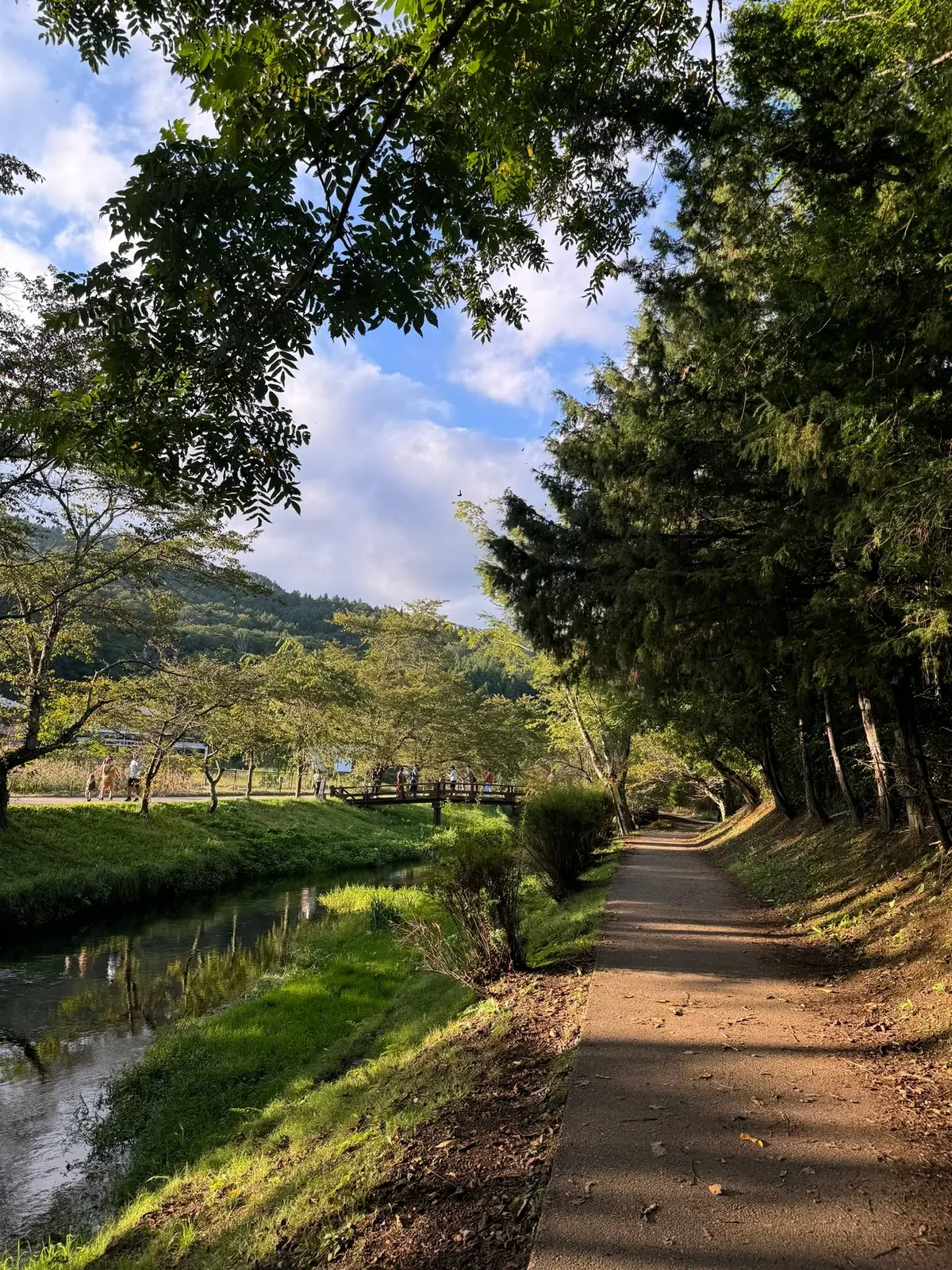 【日帰り旅】富士山の麓に広がる美しき湧水の画像_2