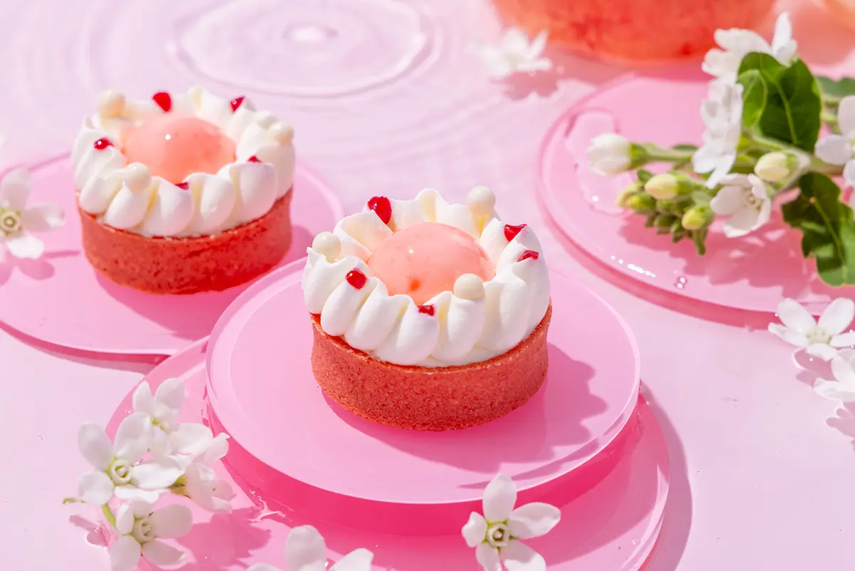 濃厚なピスタチオガナッシュとココナッツムースの組み合わせ