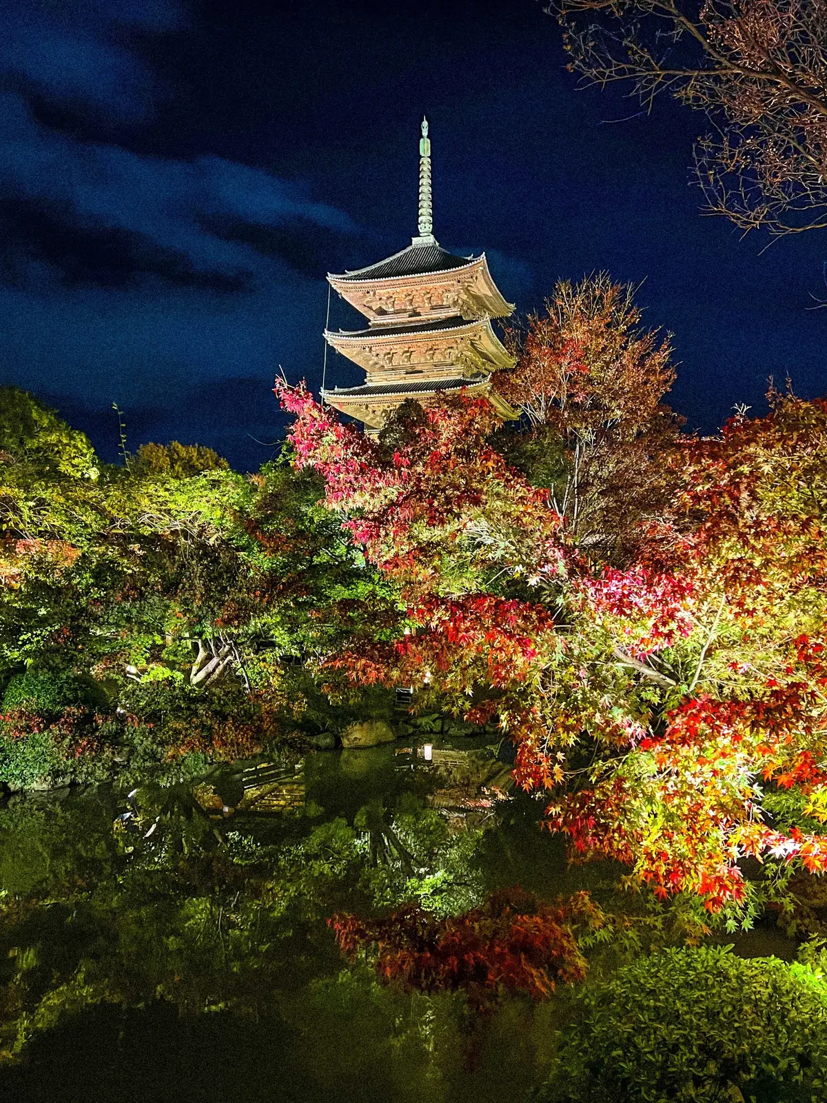 【京都観光】おすすめ紅葉スポット5選の画像_3