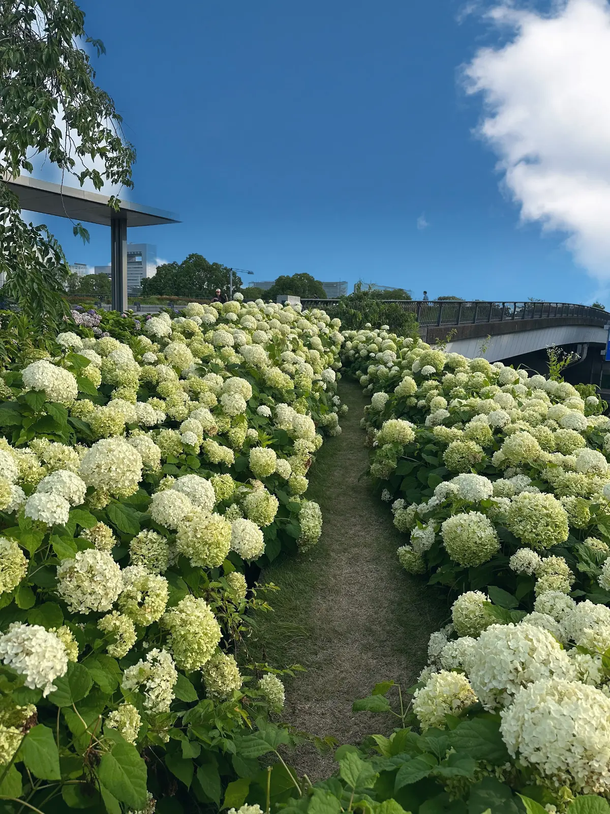 【梅雨のおでかけに】お台場の穴場“出会いの画像_1