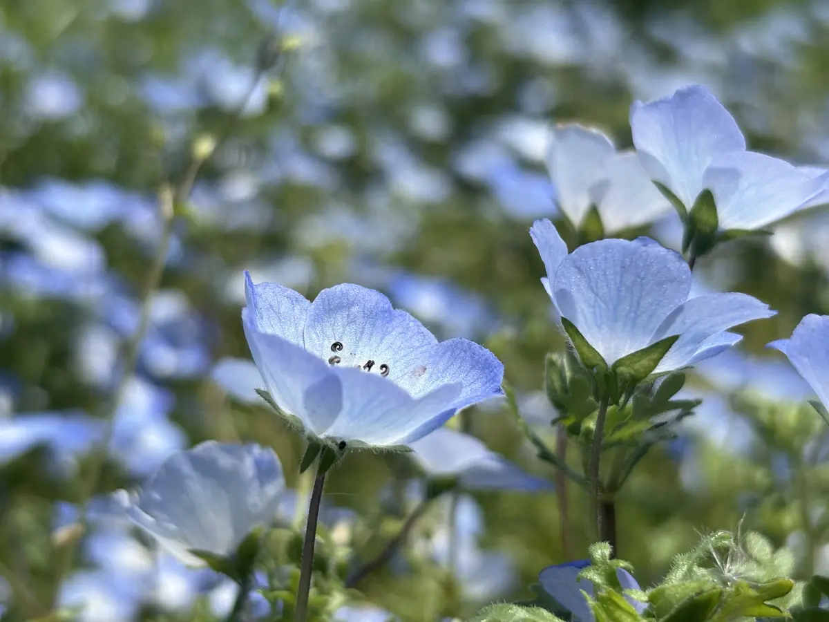 5月の振り返り！の画像_3