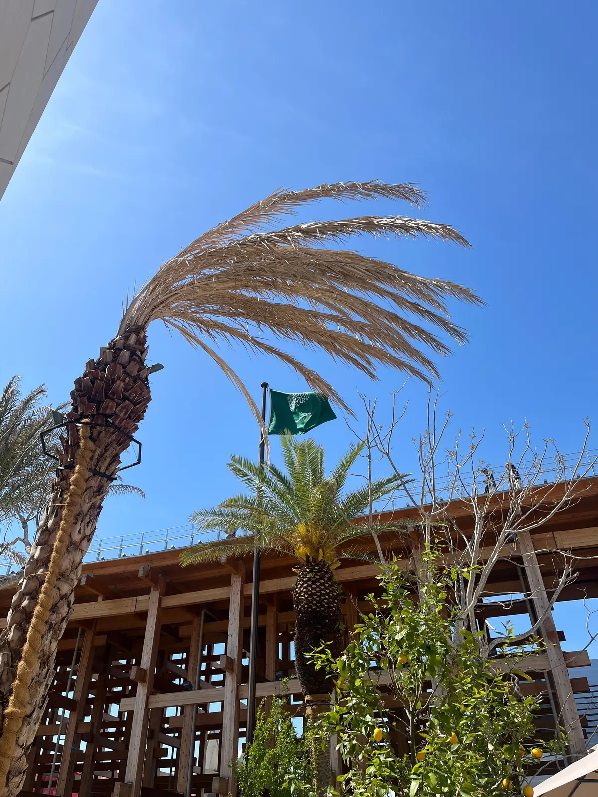 大阪万博_EXPO2025_サウジアラビア館