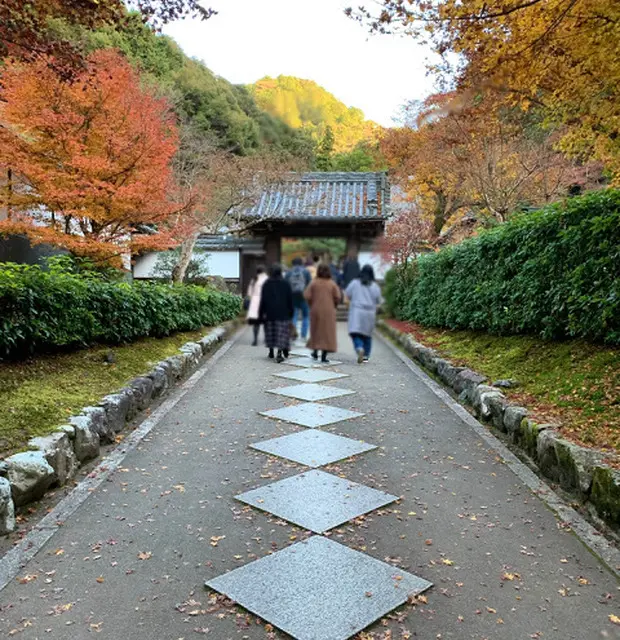 【京都】紅葉を見に行こう！おすすめスポッの画像_4