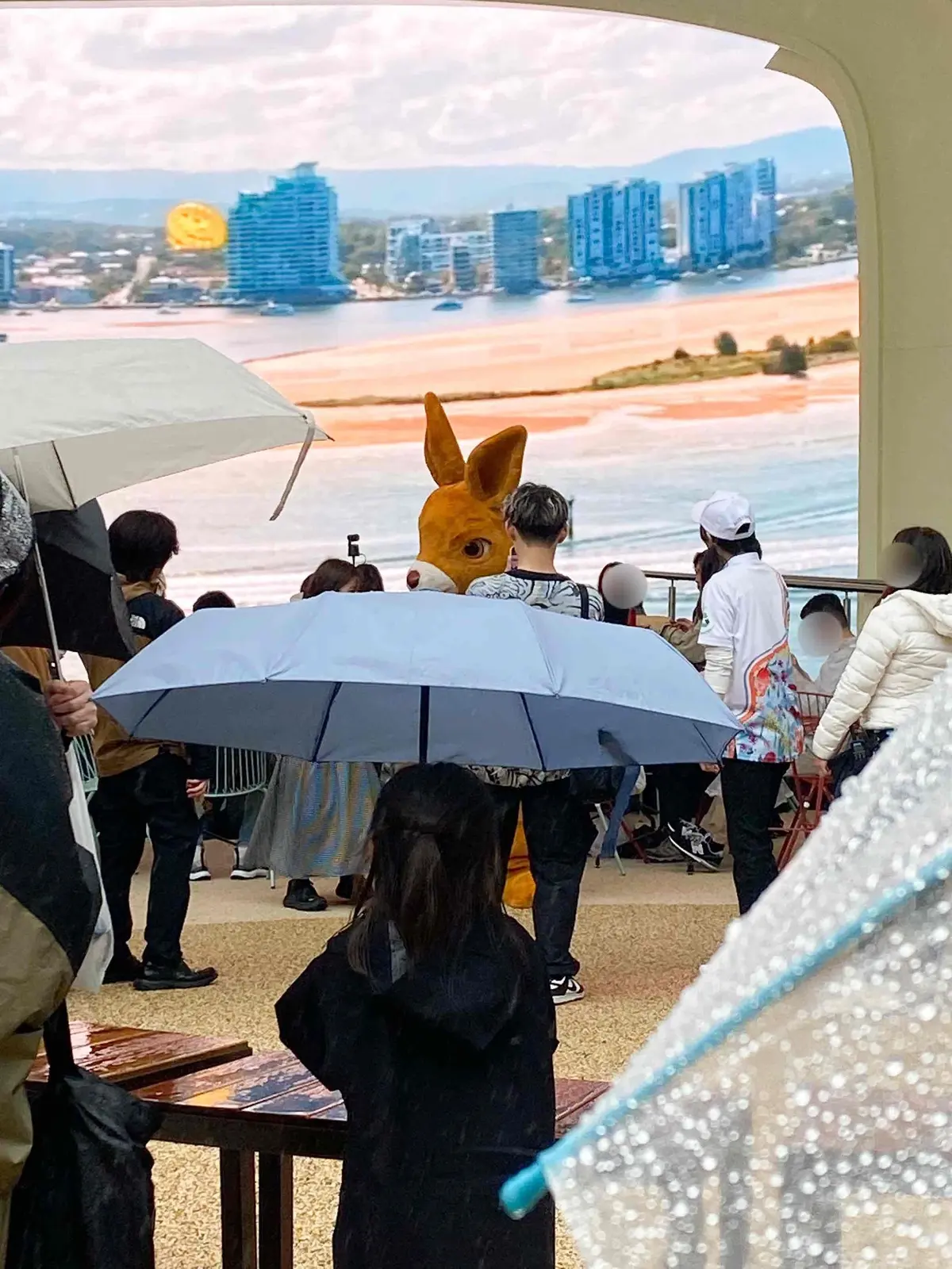 【大阪・関西万博2025】コアラが眠りユの画像_20