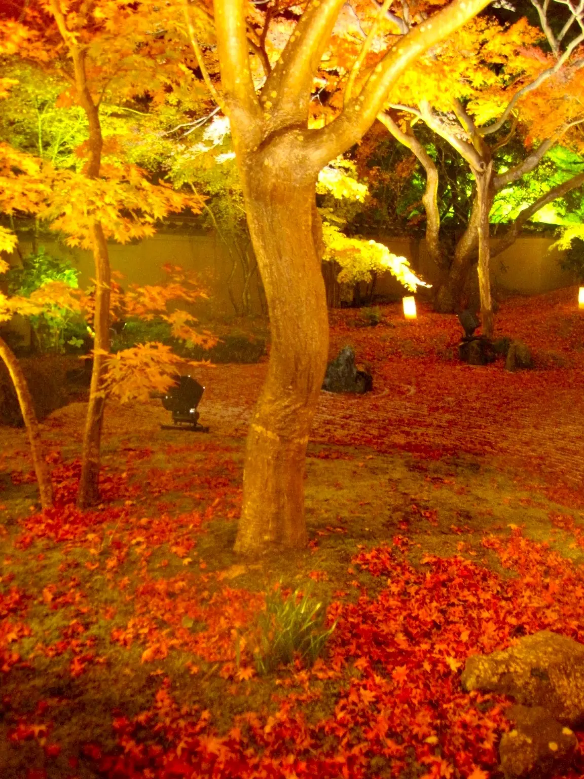 紅葉　円通院　松島