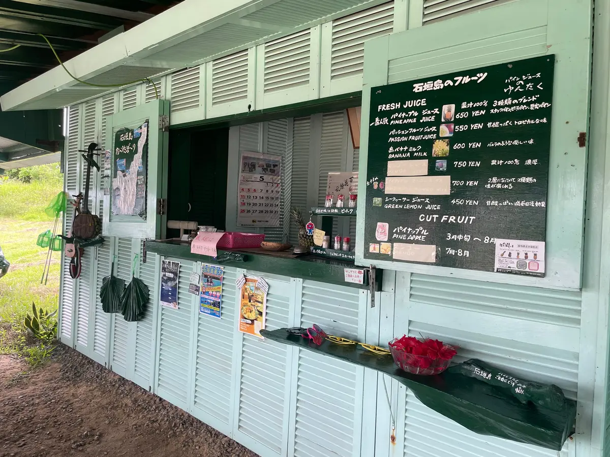 【沖縄県・石垣島】パイナップル🍍パインジの画像_1