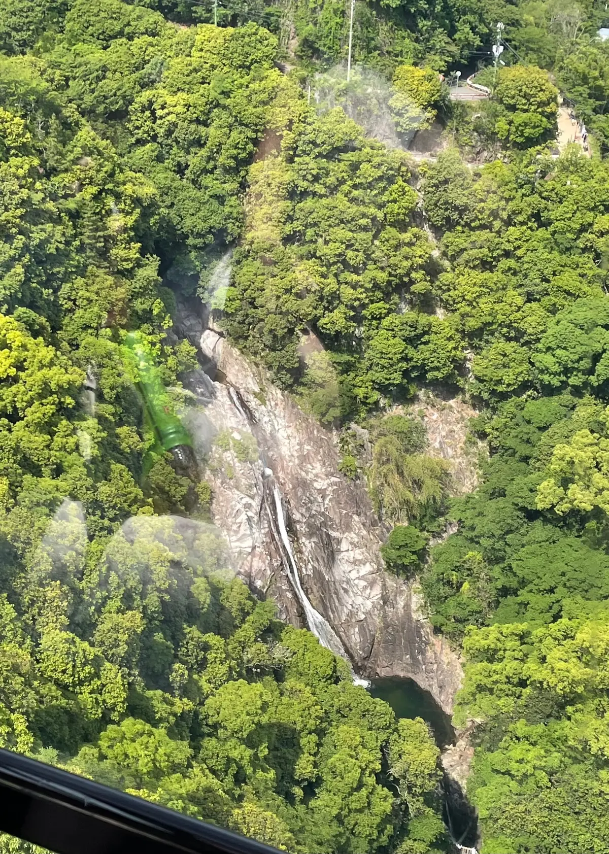 【神戸】まるでヨーロッパの庭園！季節の草の画像_3