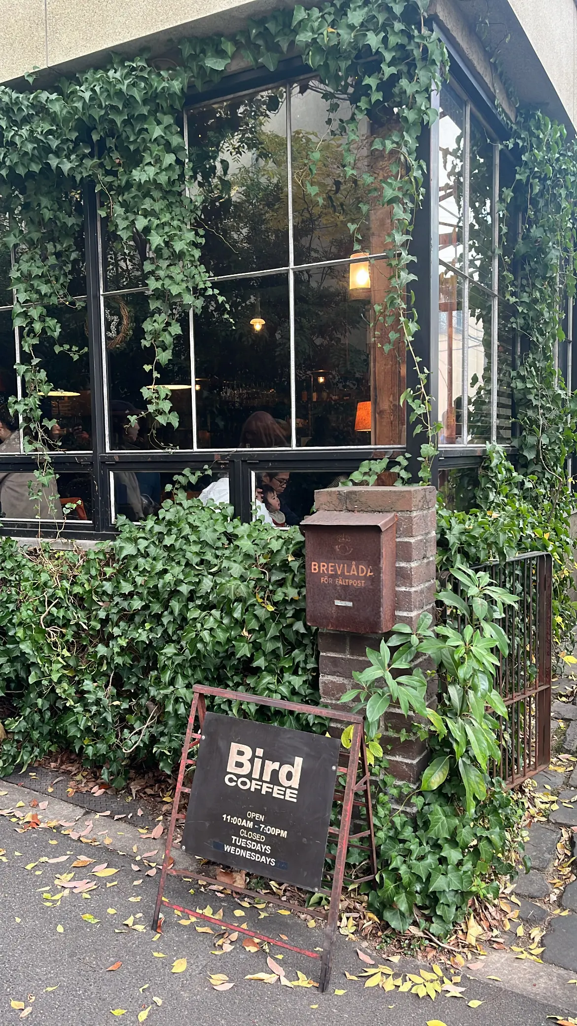 【大阪】Bird Coffeeでカスターの画像_1