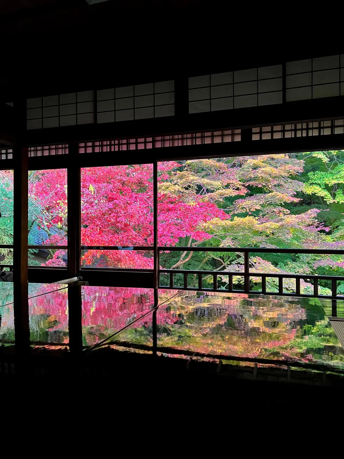 瑠璃光院内から見る紅葉1