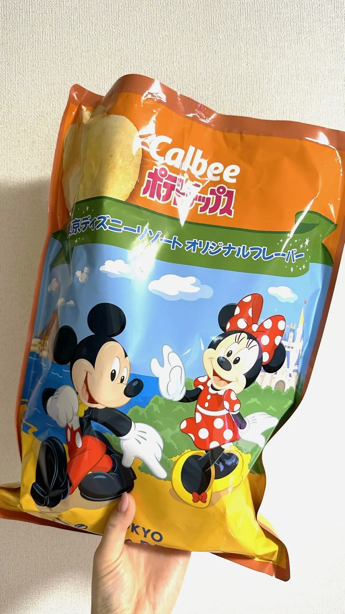 【TDR】話題の高級ポテトチップス、正直の画像_1