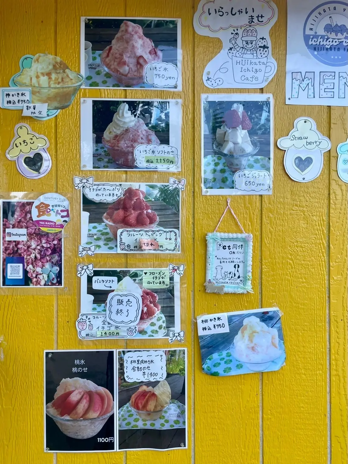 【山梨】フルーツ好き必見♡土方洋蘭園「イの画像_2