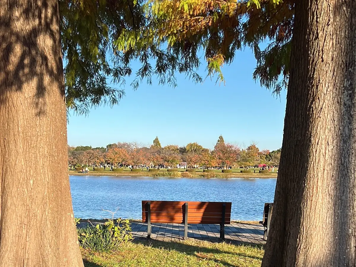 水元公園