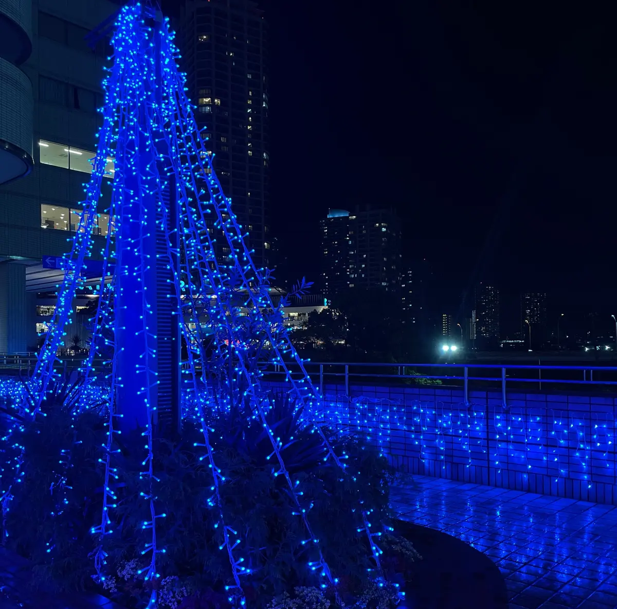 【横浜・みなとみらい｜クリスマス直前！総の画像_10